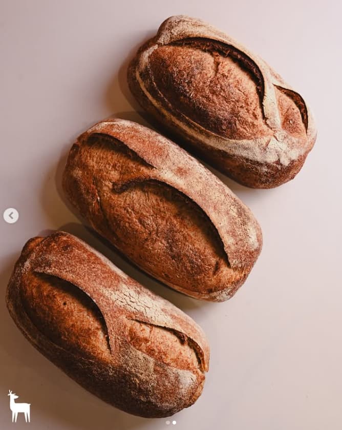 Panes integrales York